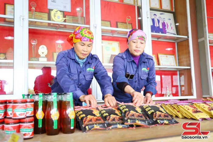 HTX Dịch vụ Phát triển Nông nghiệp 19/5, phường Vân Sơn tạo việc làm ổn định cho lao động địa phương.
