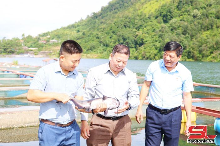 Lãnh đạo Liên minh HTX tỉnh khảo sát mô hình sản xuất của HTX Thủy sản Hồ Quỳnh, xã Quỳnh Nhai.