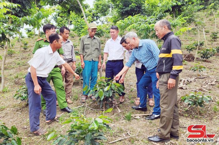 Lãnh đạo Đảng ủy xã Co Mạ nắm bắt tình hình chuyển đổi cây trồng tại cơ sở.