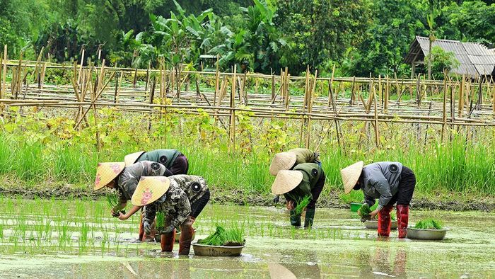 Những ngày nắng nóng, oi bức, chị em dùng áo điều hòa thân nhiệt, giúp cơ thể dễ chịu.
