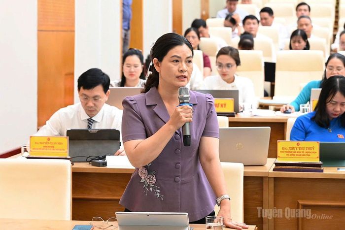 Đồng chí Vương Ngọc Hà, Phó Chủ tịch UBND tỉnh phát biểu trả lời ý kiến thảo luận.