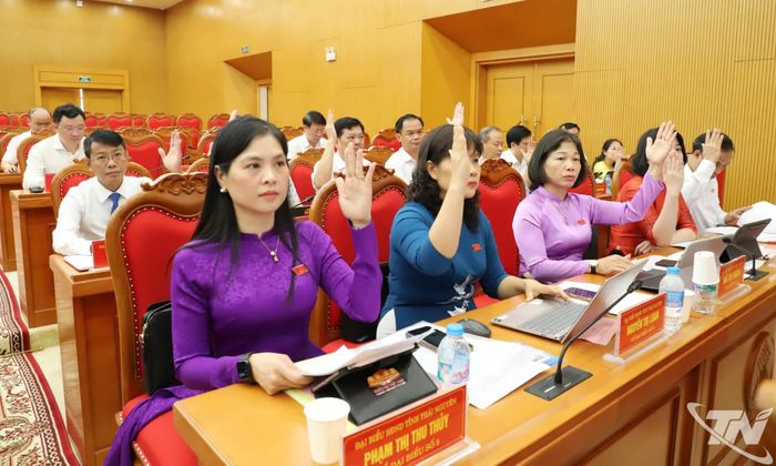 Đại biểu biểu quyết thông qua các nghị quyết.