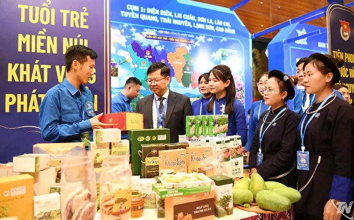 Đồng chí Đinh Quang Tuyên thăm gian hàng triển lãm của Đại hội.