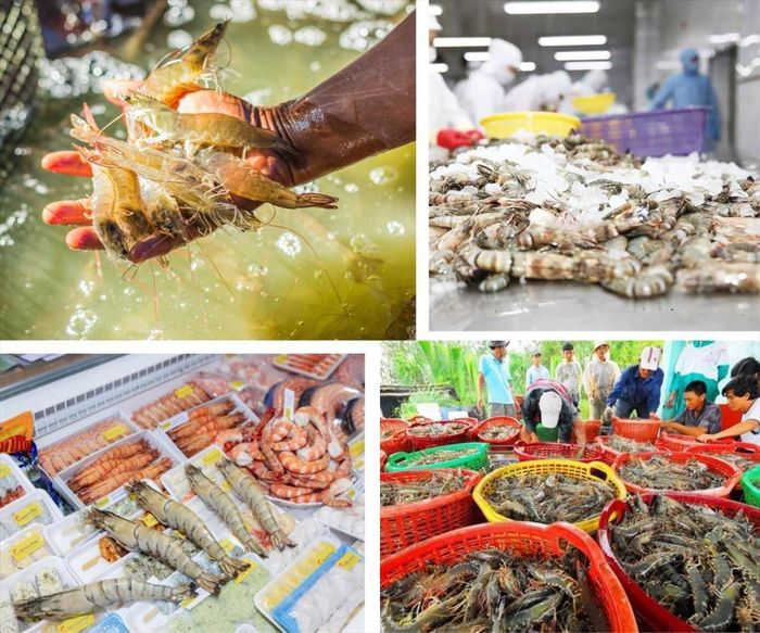 Triển vọng của ngành thủy sản được đánh giá khả quan trong quý III/2026.