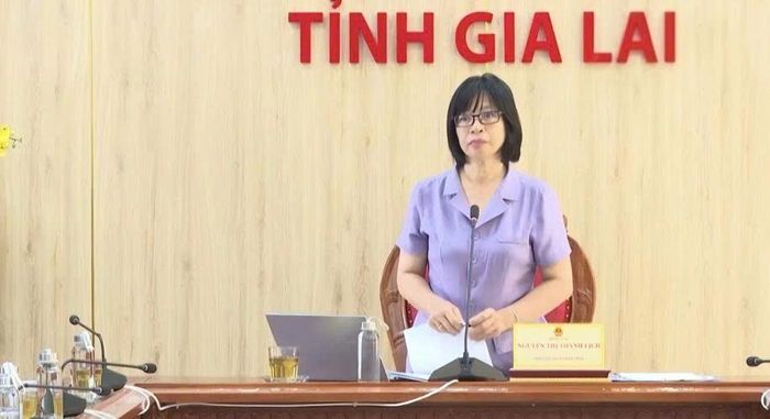 Phó Chủ tịch phụ trách UBND tỉnh Gia Lai Nguyễn Thị Thanh Lịch phát biểu chỉ đạo, định hướng phát triển các cụm du lịch trọng điểm của tỉnh.