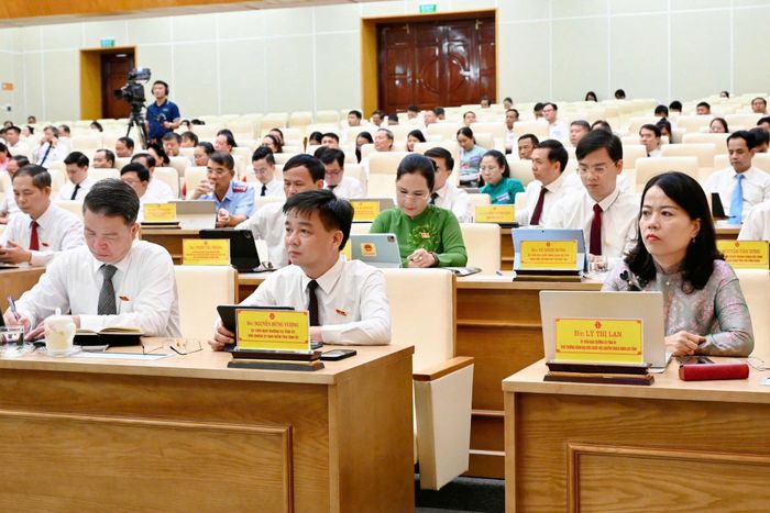 Các đại biểu tham dự kỳ họp