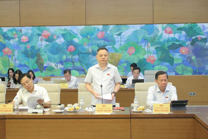Phó Chủ nhiệm Ủy ban Kinh tế và Tài chính Nguyễn Ngọc Bảo phát biểu