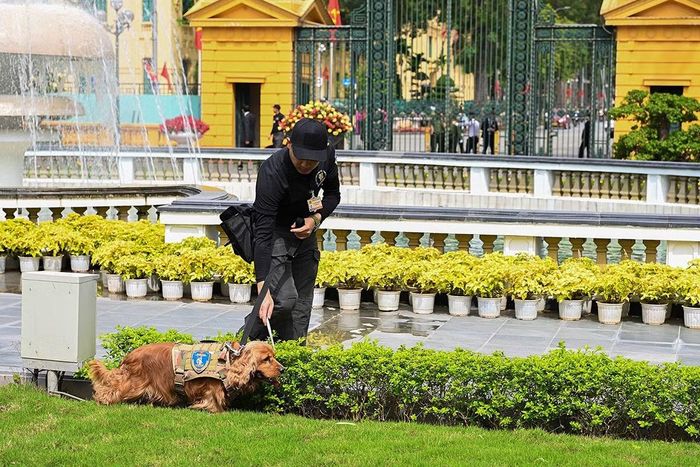 Cán bộ chiến sĩ Phòng Kỹ thuật bảo vệ - Bộ Tư lệnh Cảnh vệ sử dụng động vật nghiệp vụ trong thực hiện nhiệm vụ.