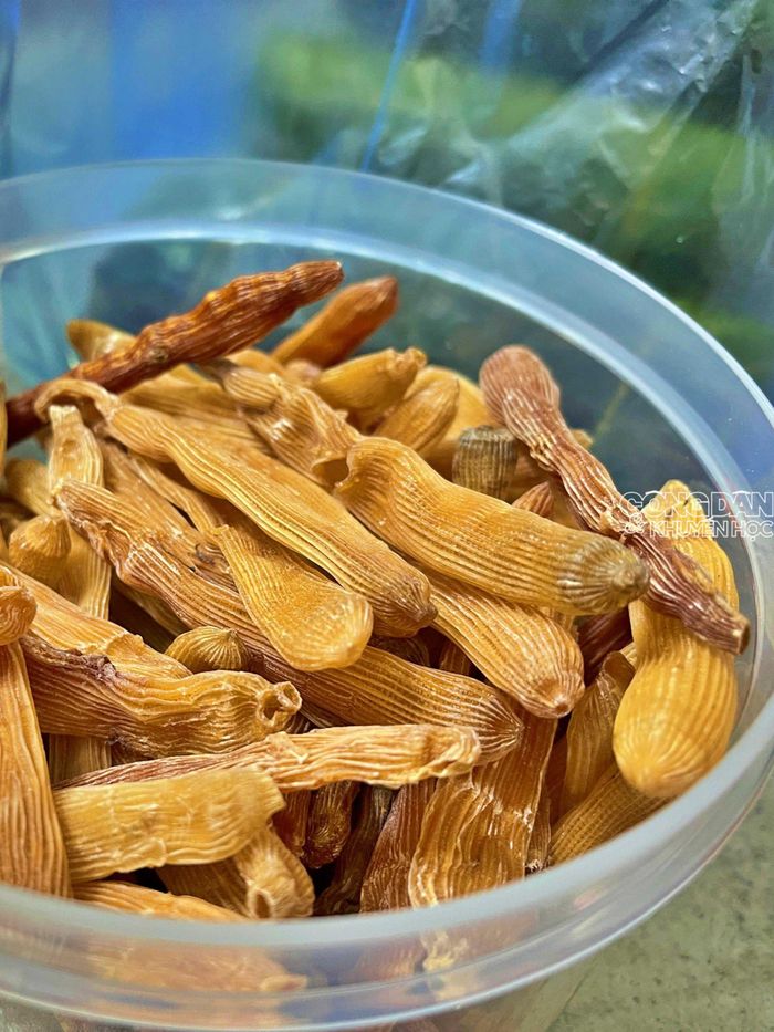 Món sá sùng khô hảo hạng từ bàn tay người dân đảo Quan Lạn. Ảnh: TTH