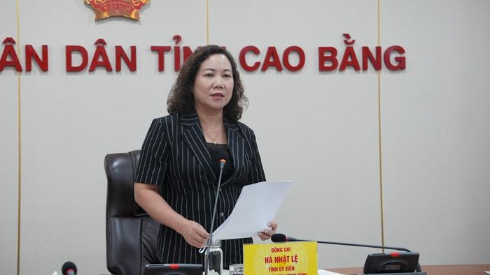 Phó Chủ tịch UBND tỉnh Hà Nhật Lệ kết luận cuộc họp.