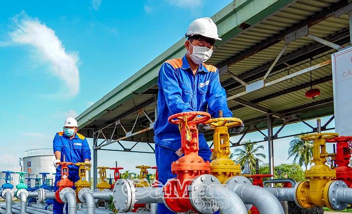 Kinh doanh xăng dầu là một trong những lĩnh vực được cơ quan thuế tăng cường quản lý, giám sát nhằm chống thất thu ngân sách và bảo đảm tính minh bạch trong hoạt động kinh doanh.