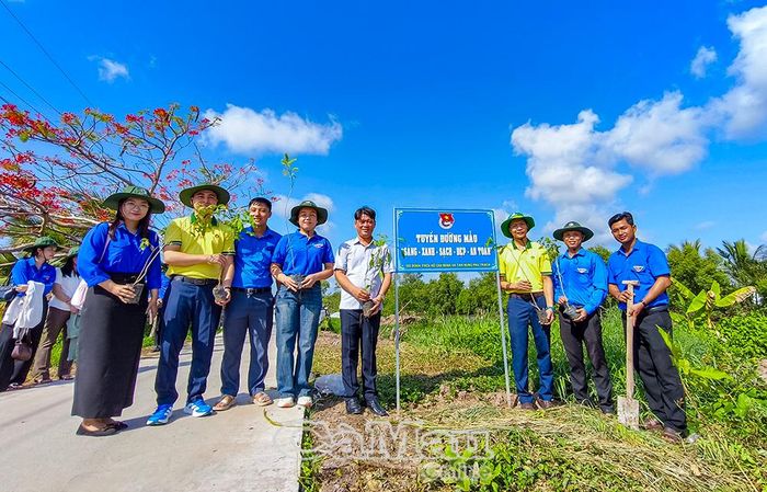 Hơn 700 cây hoàng yến được trồng trên tuyến đường nông thôn mới, đưa vào sử dụng vào cuối năm 2025.