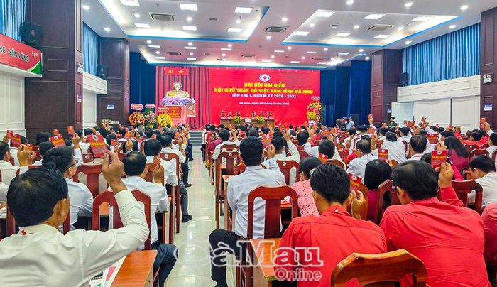 Các đại biểu biểu quyết thông qua nhiều nội dung quan trọng của công tác Hội trong nhiệm kỳ mới.