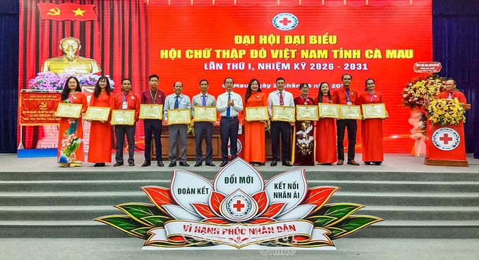 Chủ tịch UBND tỉnh tặng bằng khen cho 2 tập thể, 10 cá nhân có thành tích xuất sắc trong nhiệm kỳ qua.