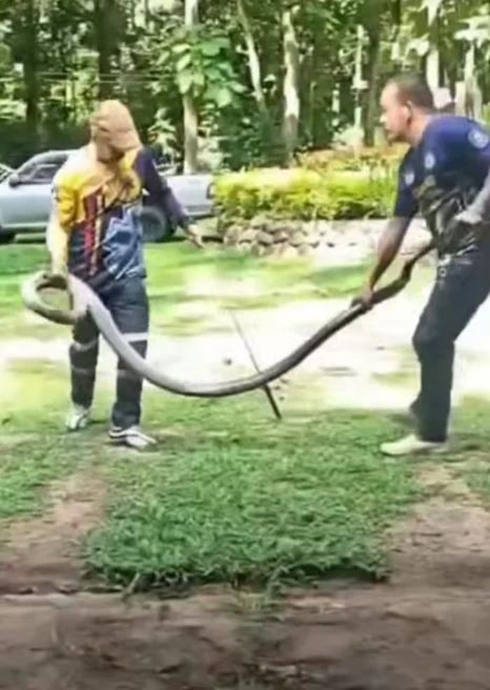 Sự việc khiến nhiều người kinh hãi.