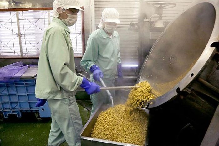 Tại các nhà máy chế biến, hạt đậu nành được làm sạch, hấp chín, bổ sung vi khuẩn lên men và ủ trong khoảng 18 giờ trước khi đóng gói