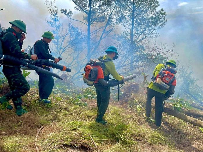 Thời tiết nắng nóng, hanh khô khiến rừng ở khu vực miền Trung bị cháy.