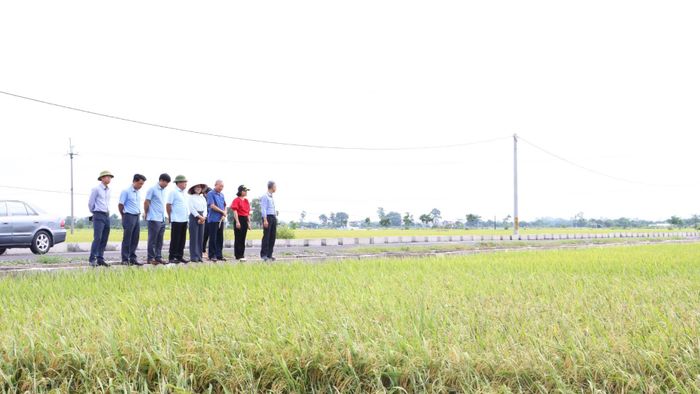 Phát triển sản xuất nông nghiệp tập trung, quy mô lớn là nền tảng để Hà Nội xây dựng nền nông nghiệp xanh, hiện đại và bền vững. Ảnh: PV
