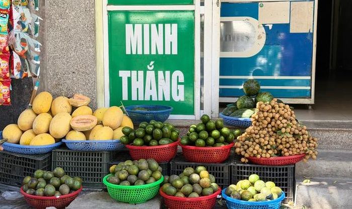 Bơ đang vào mùa nên được bày bán nhiều trên thị trường.