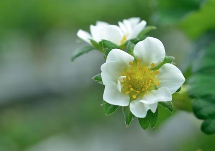 Người có ngày sinh Âm lịch tận cùng bằng số 5 không quá nóng vội trước cơ hội kiếm tiền, cũng không dễ bị cuốn theo những xu hướng đầu tư đầy rủi ro. Ảnh minh họa