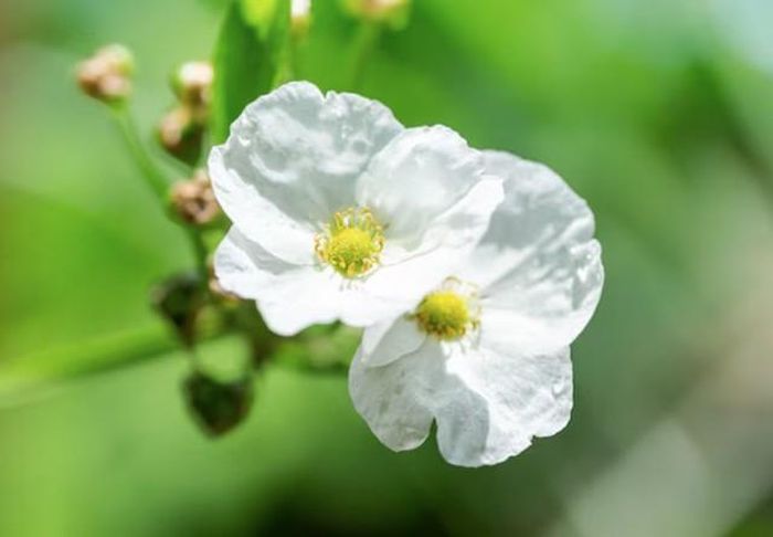 Trên thương trường, người mang số 9 thường có khả năng phân tích thị trường tốt và nhận biết xu hướng từ sớm. Ảnh minh họa