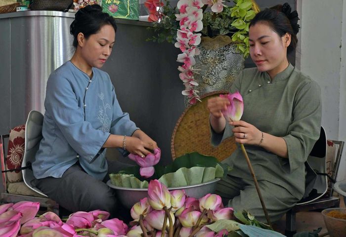 Mỗi mẻ trà sen là sự kết tinh của kinh nghiệm, sự kiên trì và tinh thần trân trọng những giá trị truyền thống được lưu truyền qua nhiều thế hệ.