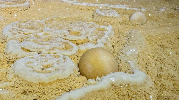  Theo đoàn khảo sát, sự tồn tại của hệ thống hồ canxi và ngọc động cho thấy hang vẫn đang tiếp tục quá trình kiến tạo tự nhiên. Vào mùa mưa, nước ngầm mang theo canxi tiếp tục bồi đắp các thành tạo trong hang. 