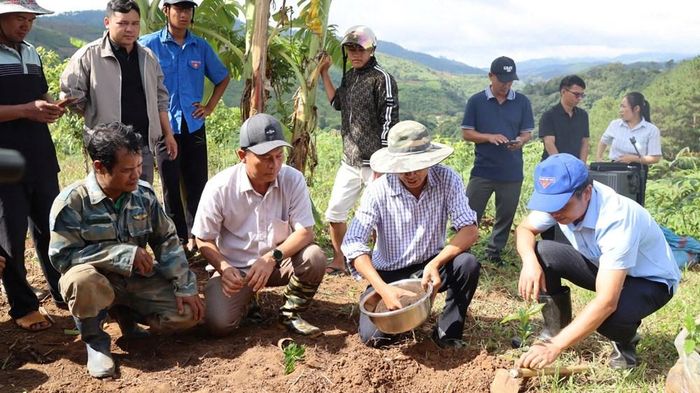 Lãnh đạo xã Tu Mơ Rông cùng cán bộ, đoàn viên và người dân trực tiếp xuống giống cà phê tại thôn Ngọc Leng, mở đầu đợt hỗ trợ trồng hơn 1 triệu cây cà phê trên diện tích khoảng 200ha