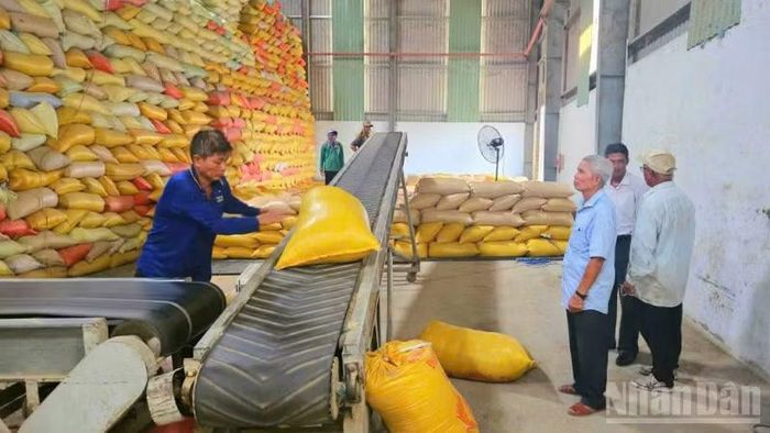 Khi tham gia hợp tác xã, phương thức sản xuất của nông dân đã có nhiều thay đổi tích cực.