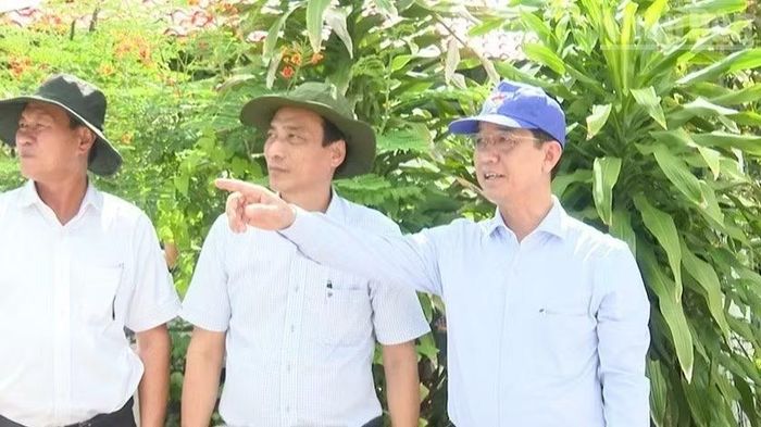 Đồng chí Hồ Văn Linh (giữa), Bí thư Đảng ủy xã Hòa Bình và lãnh đạo tỉnh Cà Mau kiểm tra tình hình sản xuất nông nghiệp của địa phương.