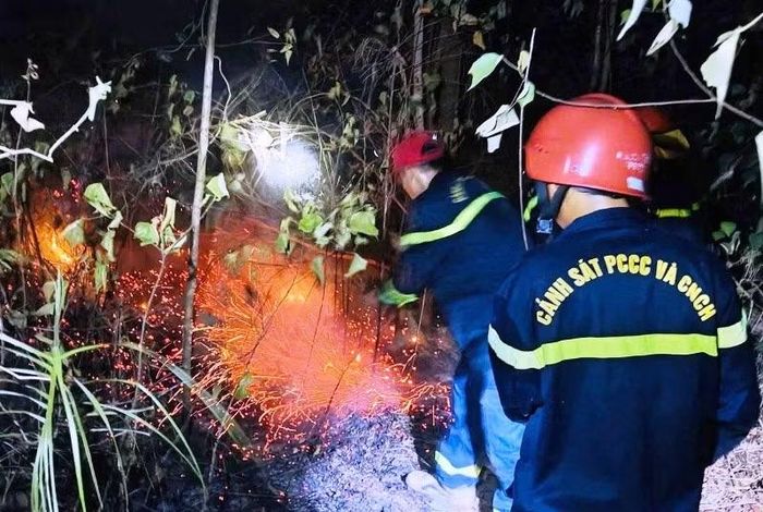 Lực lượng chuyên nghiệp nỗ lực dập than, lửa dưới tán rừng trong đêm.