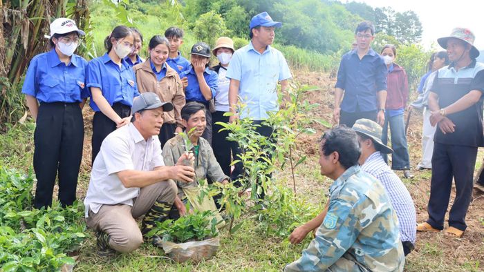 Trước khi xuống giống, cơ quan chuyên môn quán triệt kỹ thuật trồng cho người dân. Ảnh: HỮU PHÚC 
