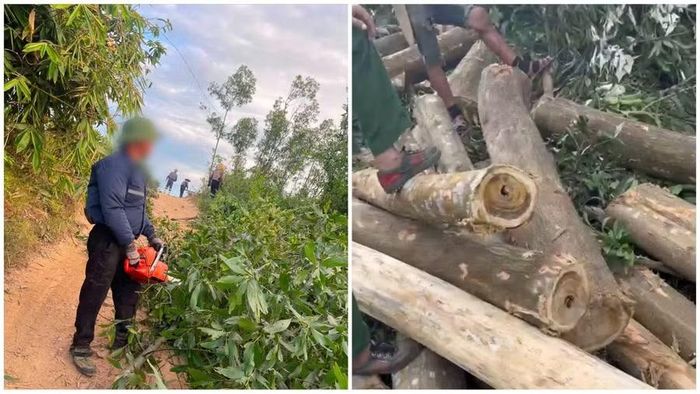 Việc khai thác diễn ra thường xuyên.