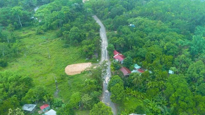 Tuyến Quốc lộ 14D. Ảnh: A. Niệm