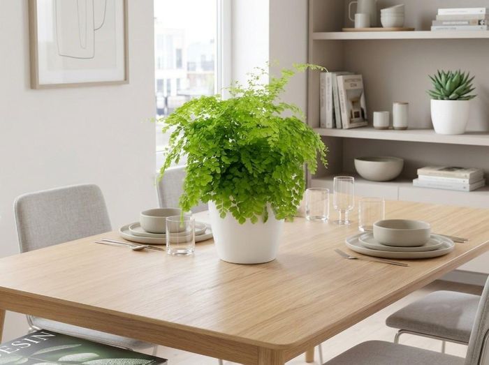 Cây dương xỉ tóc thần vệ nữ.