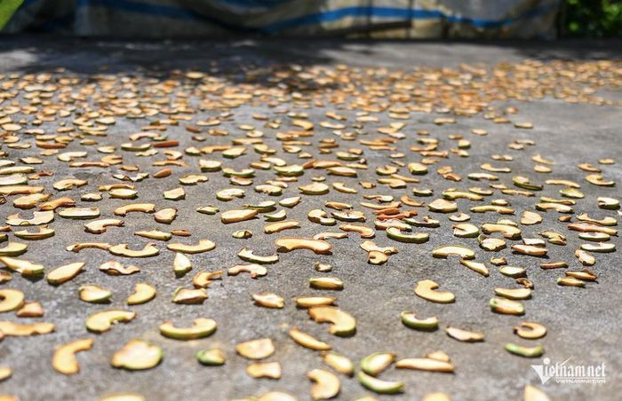Từng lát tai chua được thái mỏng phơi dưới nắng hè là một phần thu nhập nuôi gia đình 7 miệng ăn suốt bao năm qua. Ảnh: Thu Hiền