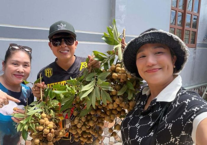 Diễn viên Cát Tường cùng các đồng nghiệp hái nhãn tại vườn trong chuyến về miền Tây. 