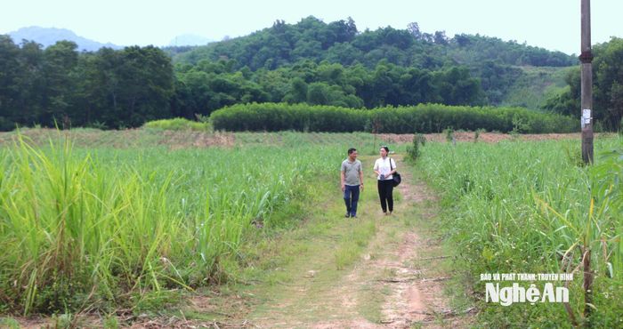 Con đường nội đồng được mở từ lòng dân. Ảnh: K.L