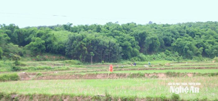 Khu vực sản xuất của người dân bản Boong. Ảnh: K.L