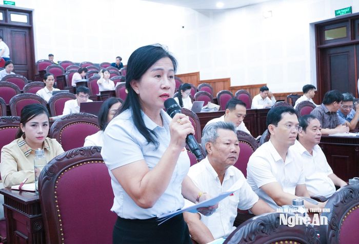 Đại biểu HĐND tỉnh nêu ý kiến thảo luận tại kỳ họp. Ảnh: Mai Hoa