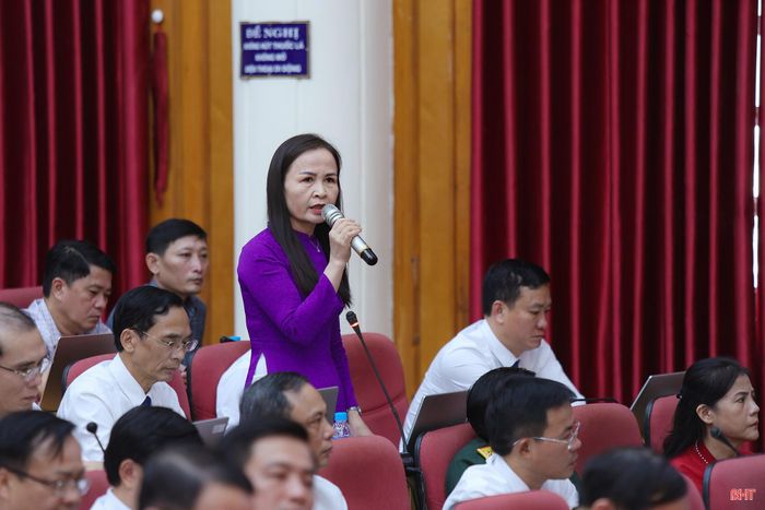 Đại biểu Nguyễn Thị Lệ Hà – Phó Chủ tịch Ủy ban MTTQ tỉnh, Chủ tịch Hội LHPN tỉnh nêu câu hỏi.