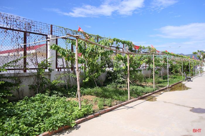 Cây xanh được trồng trong khuôn viên Trại tạm giam Công an tỉnh Hà Tĩnh.