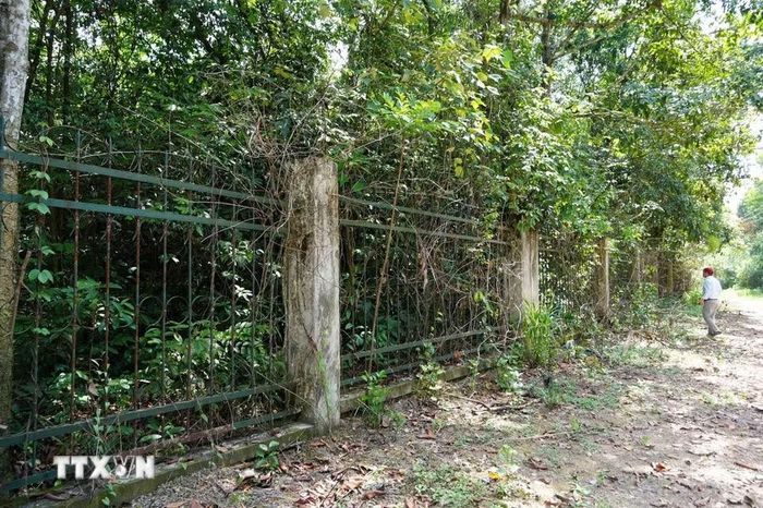 Rừng phòng hộ cảnh quan môi trường Biên Hòa nằm sát khu dân cư phường Trảng Dài và Hố Nai, được ngăn cách bởi hàng rào bê tông song sắt kiên cố để ngăn người dân xâm phạm rừng. (Ảnh: Sỹ Tuyên/TTXVN)