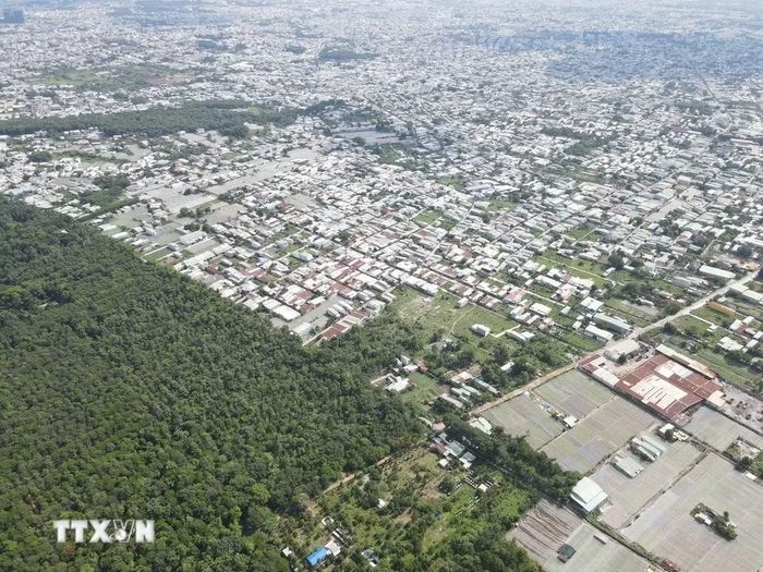 Rừng phòng hộ cảnh quan môi trường Biên Hòa nằm sát khu dân cư phường Trảng Dài và Hố Nai, được ngăn cách bởi hàng rào bê tông song sắt kiên cố để ngăn người dân xâm phạm rừng. (Ảnh: Sỹ Tuyên/TTXVN)