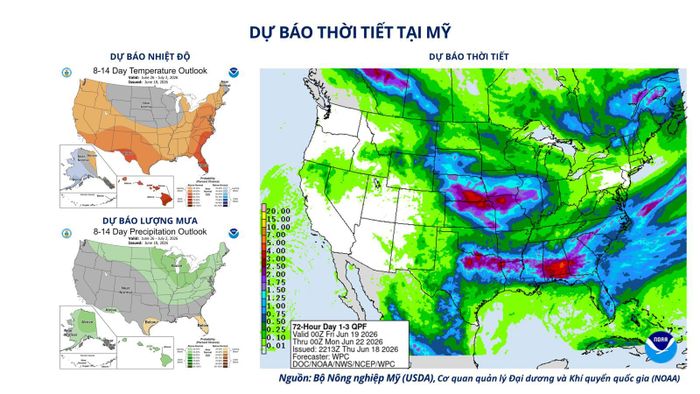 Dự báo thời tiết tại Mỹ.