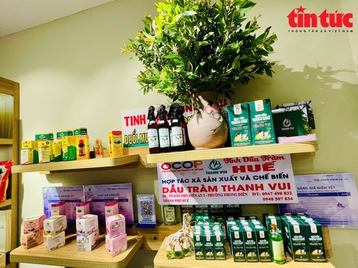 Đặc sản của Huế được trưng bày tại chương trình.