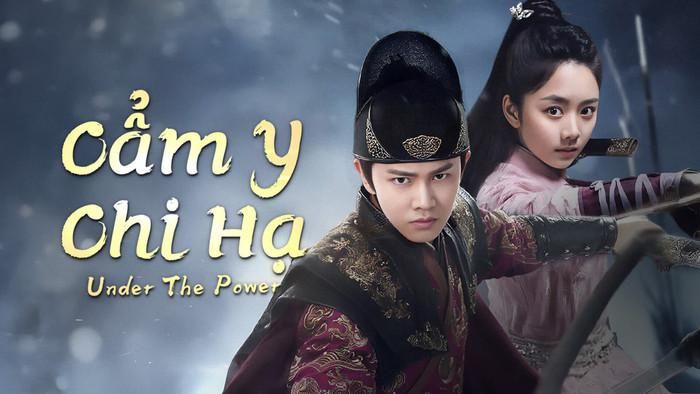 Cẩm Y Chi Hạ xoay quanh mối quan hệ oan gia giữa Cẩm Y Vệ Lục Dịch và nữ bổ khoái Viên Kim Hạ khi cả hai buộc phải hợp tác điều tra vụ án mất cắp ngân lượng triều đình. Từ đối đầu căng thẳng, họ dần trở nên ăn ý qua hàng loạt vụ án liên hoàn tại Dương Châu, đồng thời nảy sinh tình cảm sâu đậm. Tuy nhiên, bí mật thân thế và mối thù gia tộc khiến mối quan hệ của họ đứng trước nhiều thử thách, buộc cả hai phải lựa chọn giữa tình riêng và đại nghĩa.