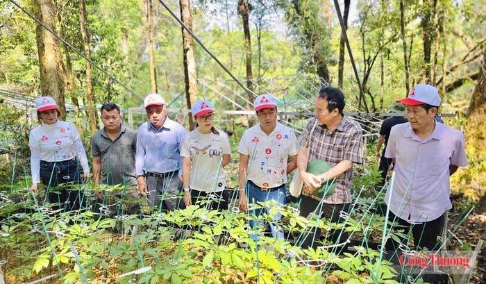 Với nhiều năm gắn bó trong lĩnh vực nông nghiệp, dược liệu và chế biến sâu, doanh nhân Phan Thanh Thiên được kỳ vọng sẽ cùng VCAC tạo thêm động lực cho cộng đồng doanh nghiệp nông nghiệp phát triển theo hướng xanh, hiện đại và bền vững. Ảnh: Hiền Mai 