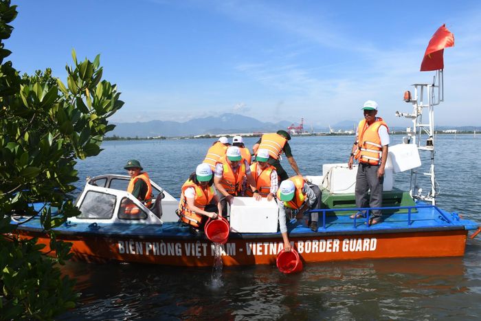 Thành phố Đà Nẵng gắn khai thác với tái tạo, phát triển nguồn lợi thủy sản để phát triển bền vững. Trong ảnh: ngành chức năng thả cá để tái tạo nguồn lợi. Ảnh: QUANG VIỆT
