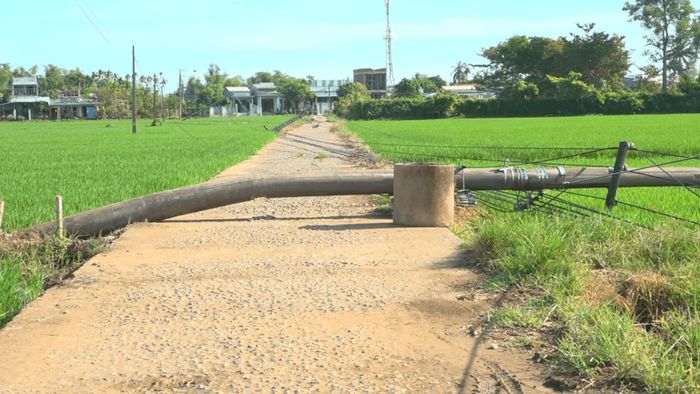 Một số trụ điện ngã ngang đường. Ảnh: GIANG BIÊN